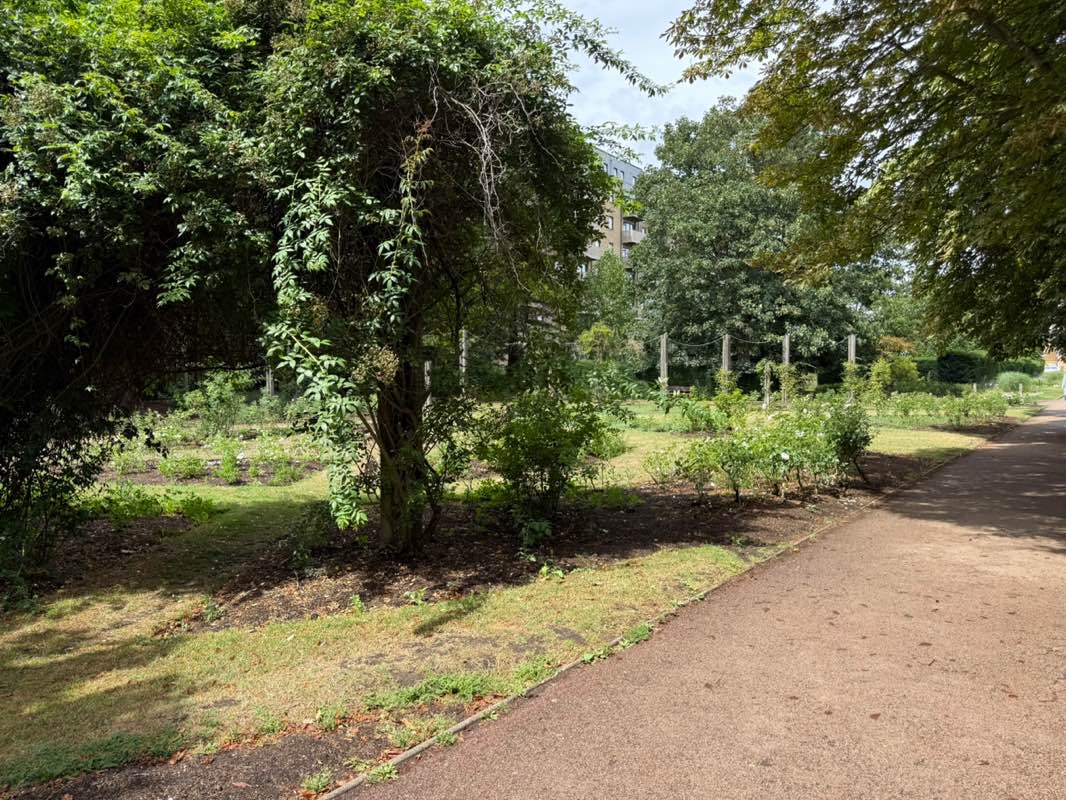 walking near me in Central Park in autumn