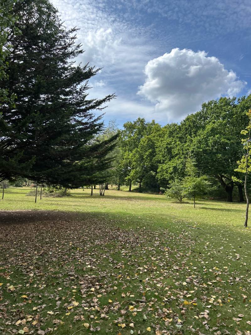 walking near me in Beckenham Place Park in autumn