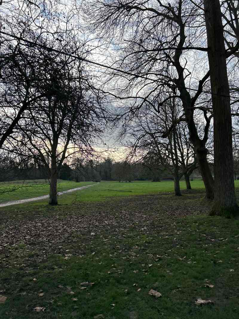 walking near me in Beckenham Place Park in winter