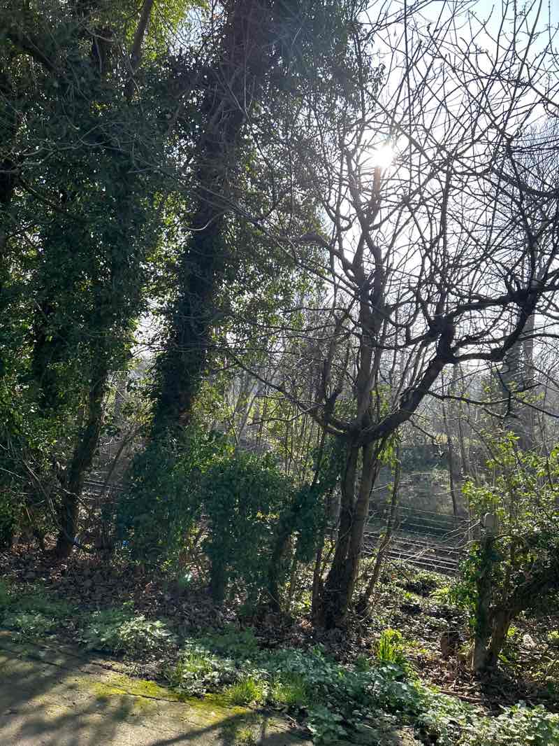 walking near me in Beckenham Place Park in spring