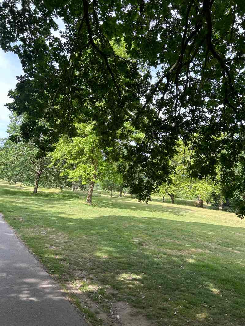 walking near me in Beckenham Place Park in summer