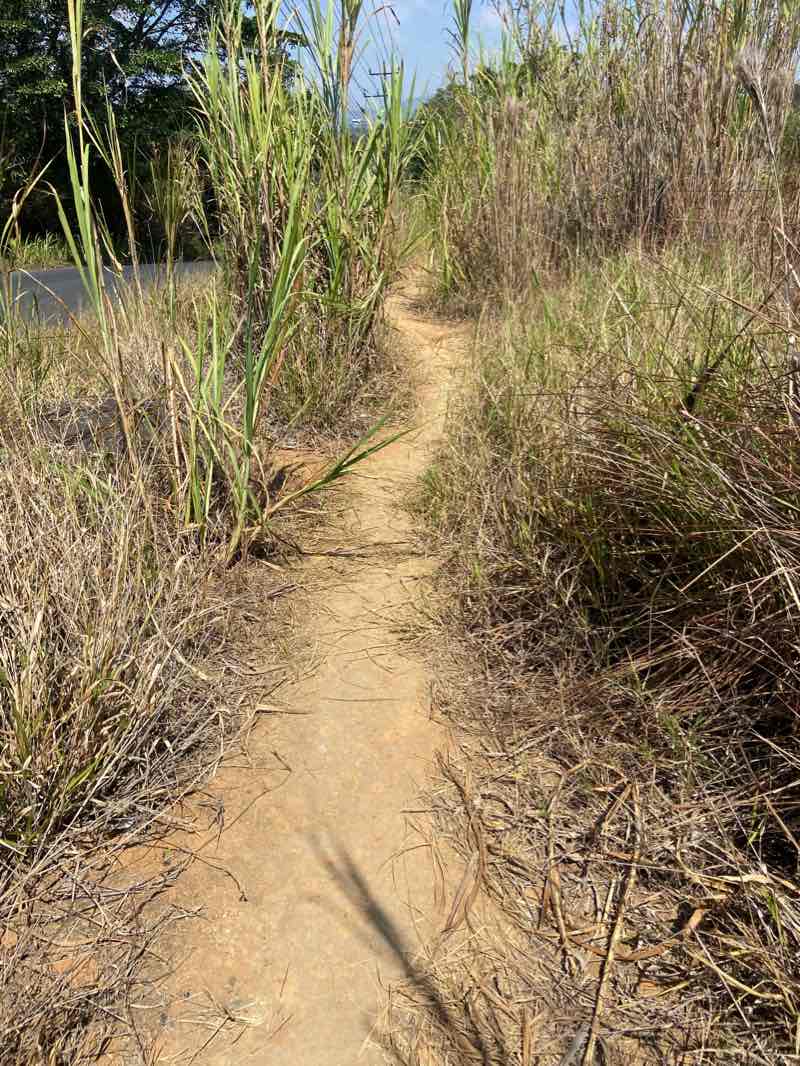 walking near me in Plaza La Soledad in winter