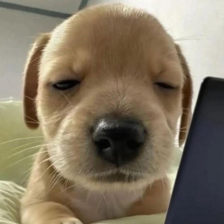 20234010-Nattakarn profile