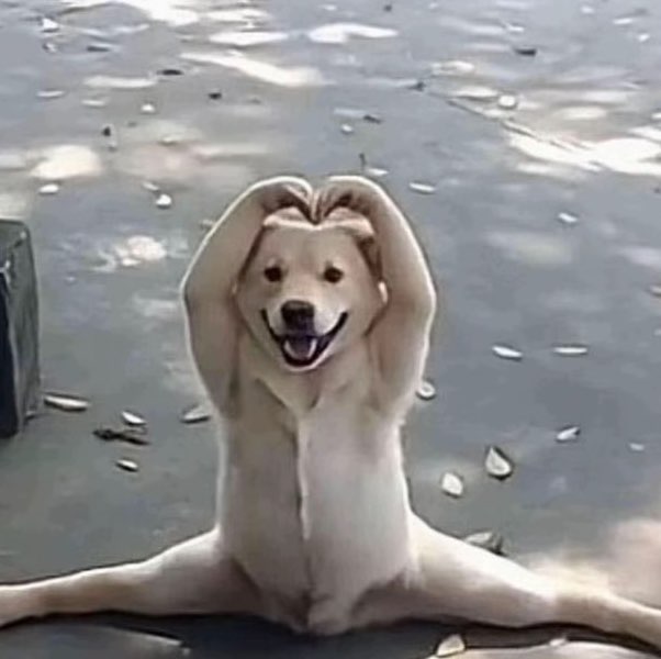 20223989-Aekachit icon