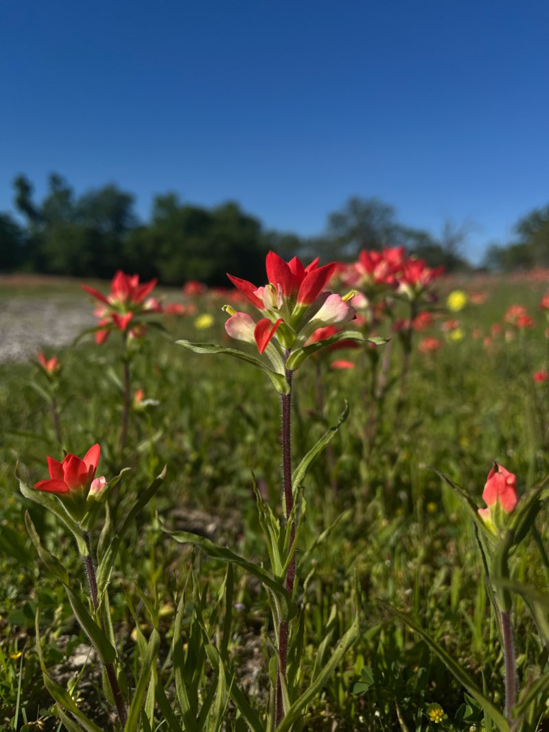 walking near me in Lake Madison Park in winter
