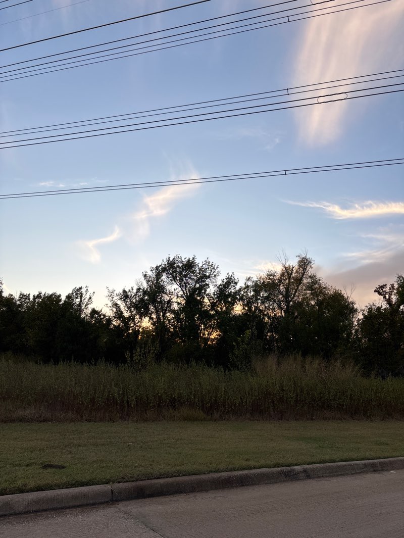 walking near me in Mike Lewis Park in autumn