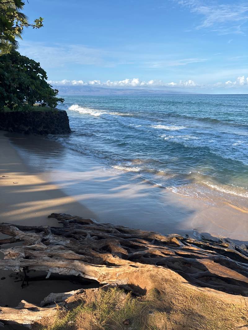 walking near me in Honokowai Beach Park in autumn