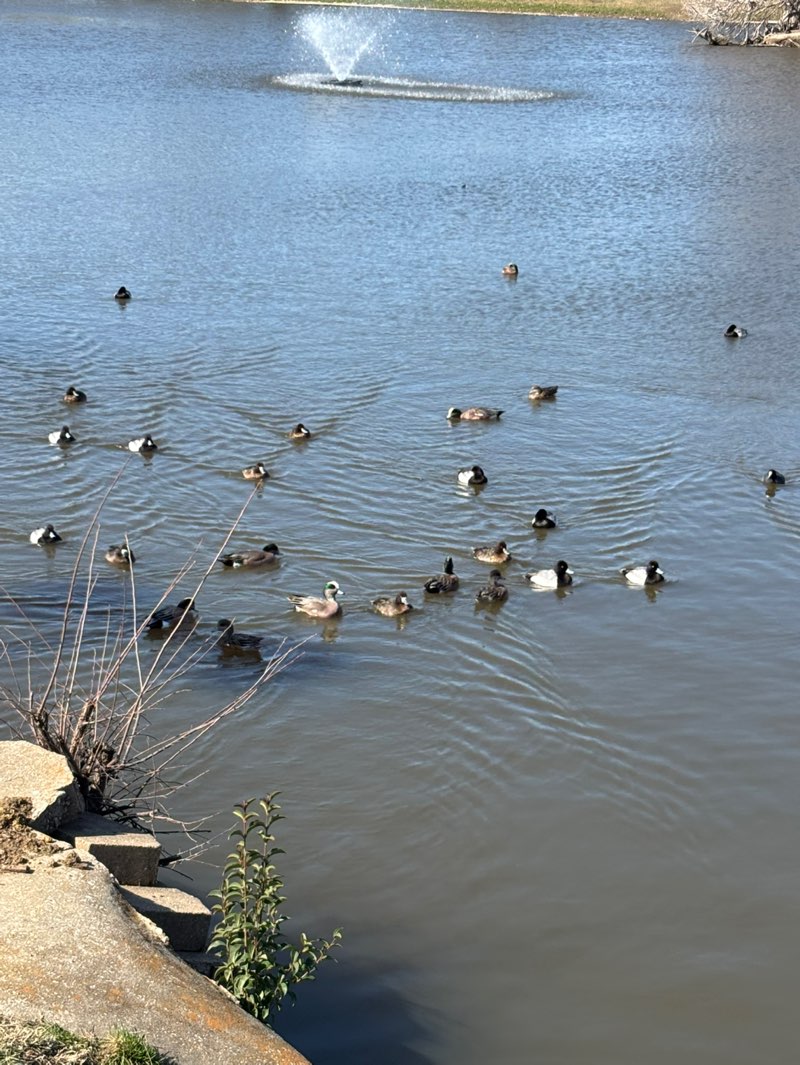 walking near me in Northwest Park in winter