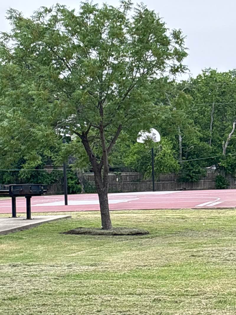walking near me in Live Oak Park in spring