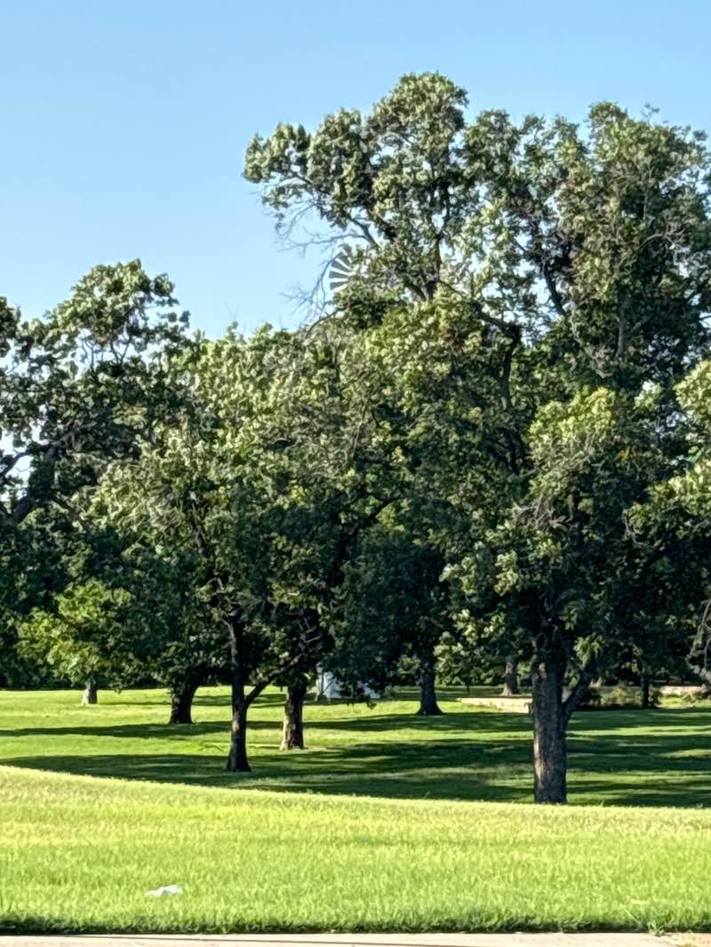 walking near me in Bowles Park in summer