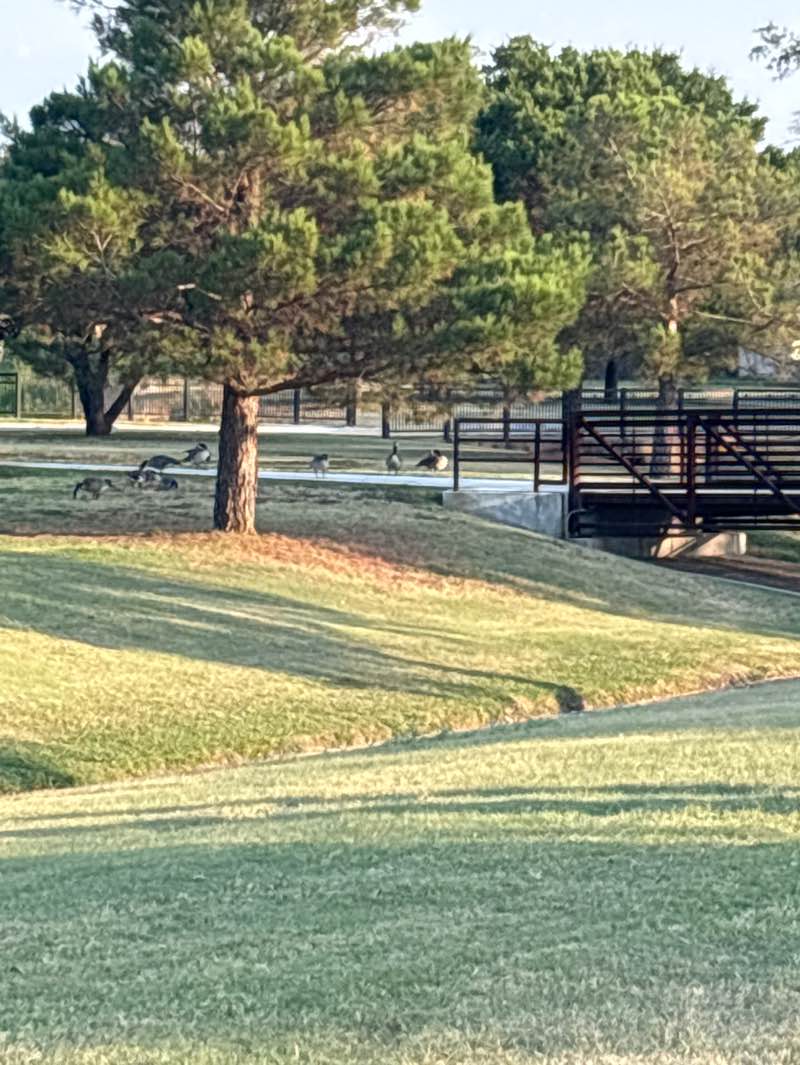walking near me in Northwest Park in autumn