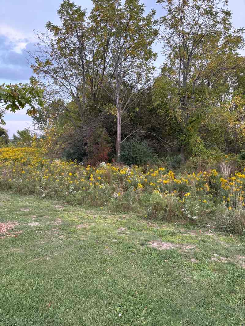 walking near me in William Connell City-Wide Park in autumn
