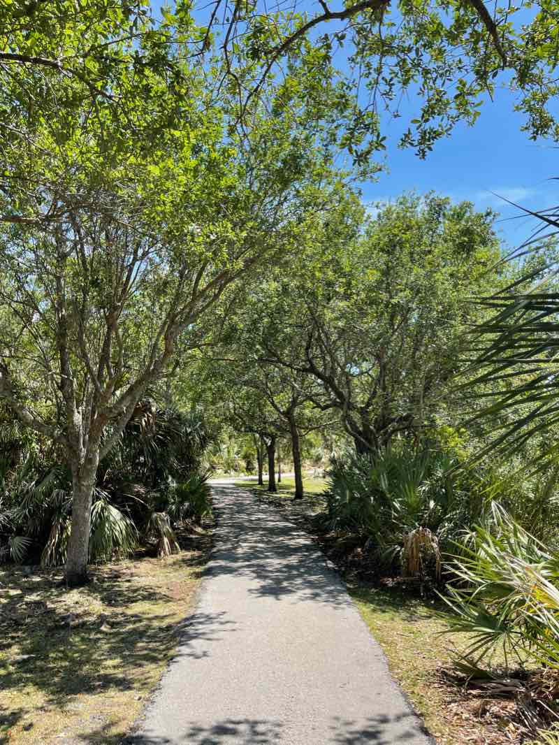 walking near me in Coral Reef Park in winter