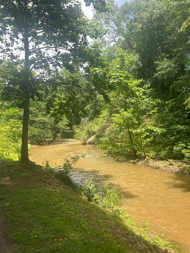 walking near me in Linky Stone Park in winter