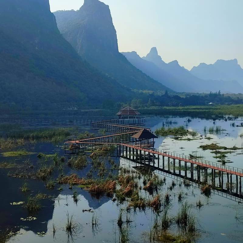 OD&S Dominika post image