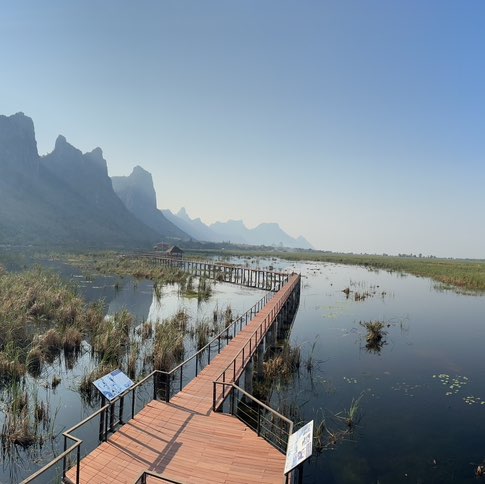 OD&S Dominika post image