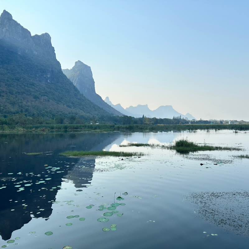 OD&S Dominika post image