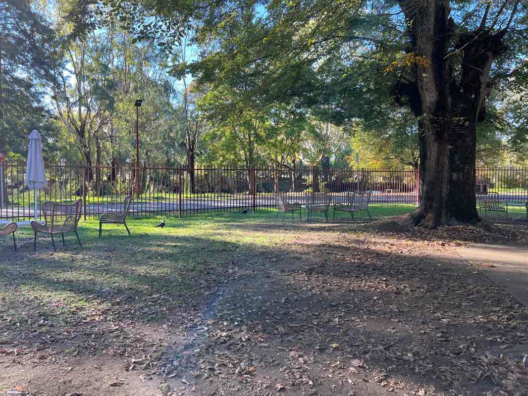 walking near me in Pioneer Park in summer