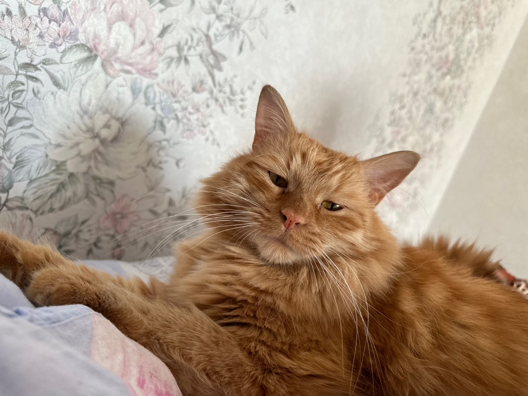 Яков Оганесян