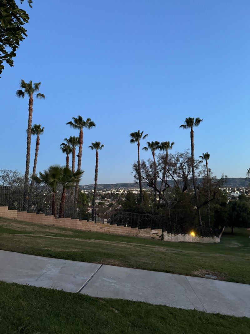 walking near me in Shadow Oak Park in winter