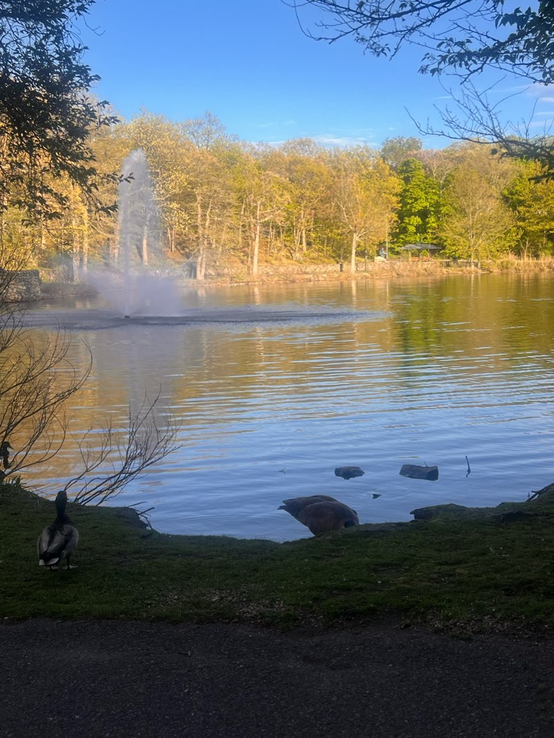 walking near me in MacDonald Stadium in winter