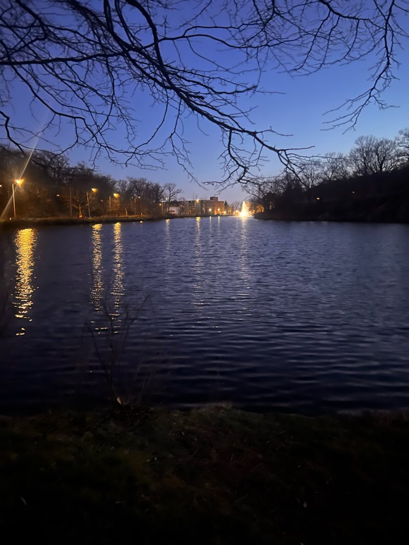 walking near me in Hickey Park in winter