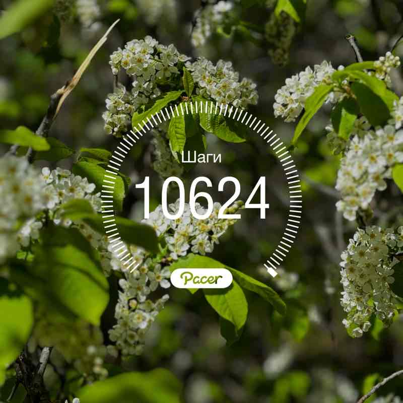 Лилия Вагапова post 1