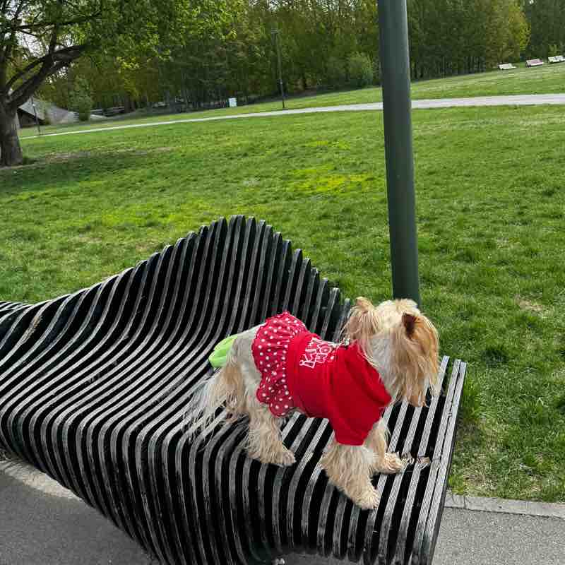 Лилия Вагапова post 2