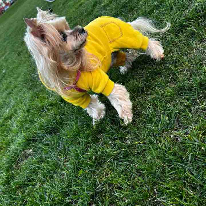 Лилия Вагапова post 2