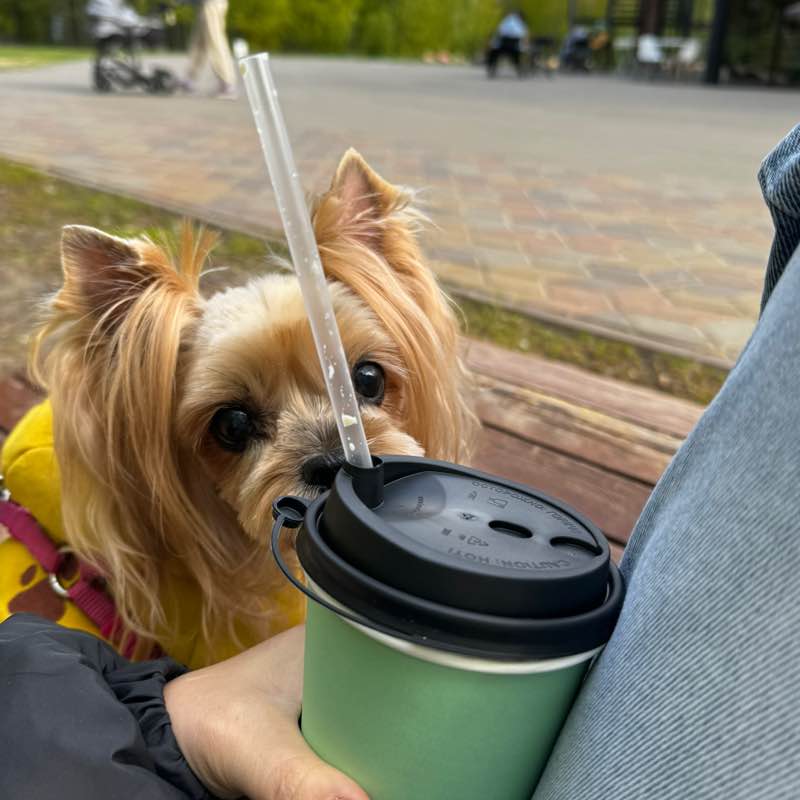 Лилия Вагапова post 3