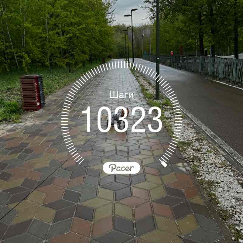 Лилия Вагапова post 1