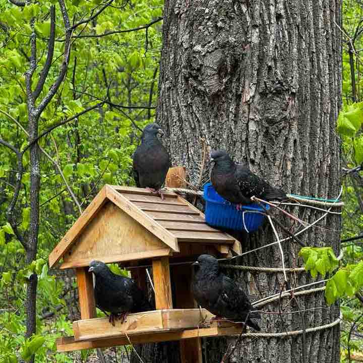 Лилия Вагапова post 3