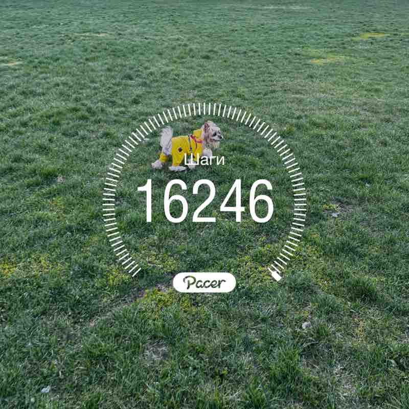 Лилия Вагапова post 1