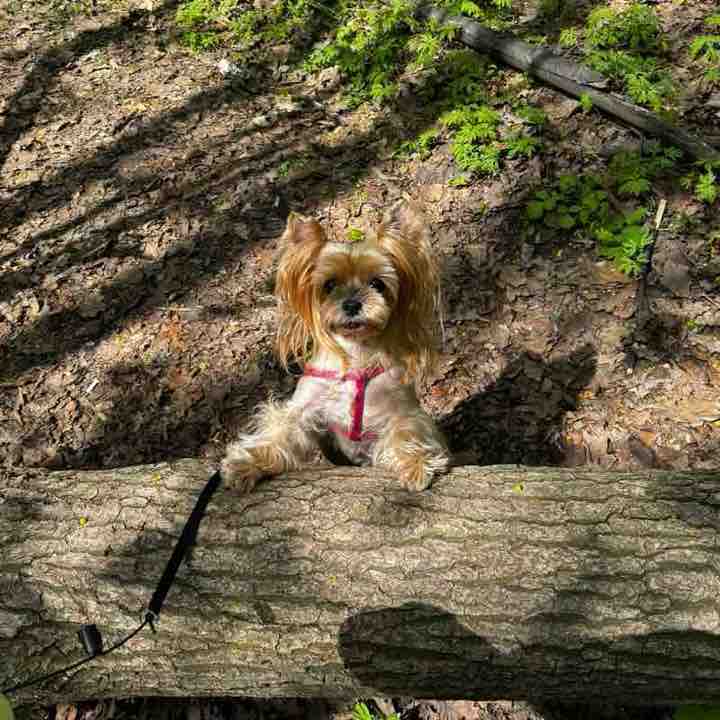 Лилия Вагапова post 2