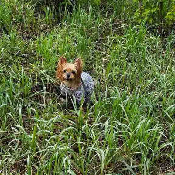 Лилия Вагапова post 2