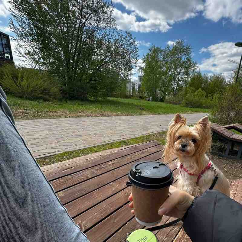 Лилия Вагапова post 3