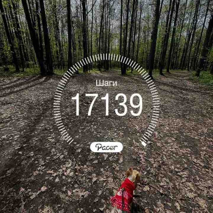 Лилия Вагапова post 1