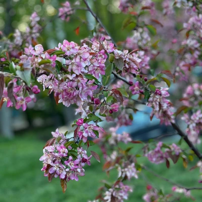 Лилия Вагапова post 3