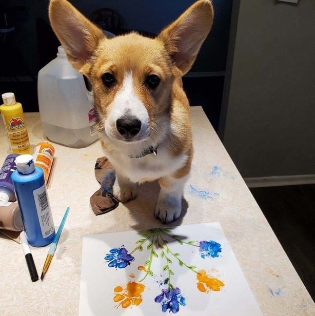 Сашка Казаков