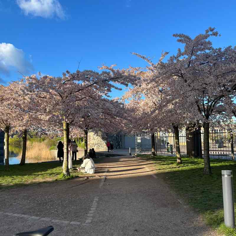 Noble April Fun Challenge Davy Christophe post image