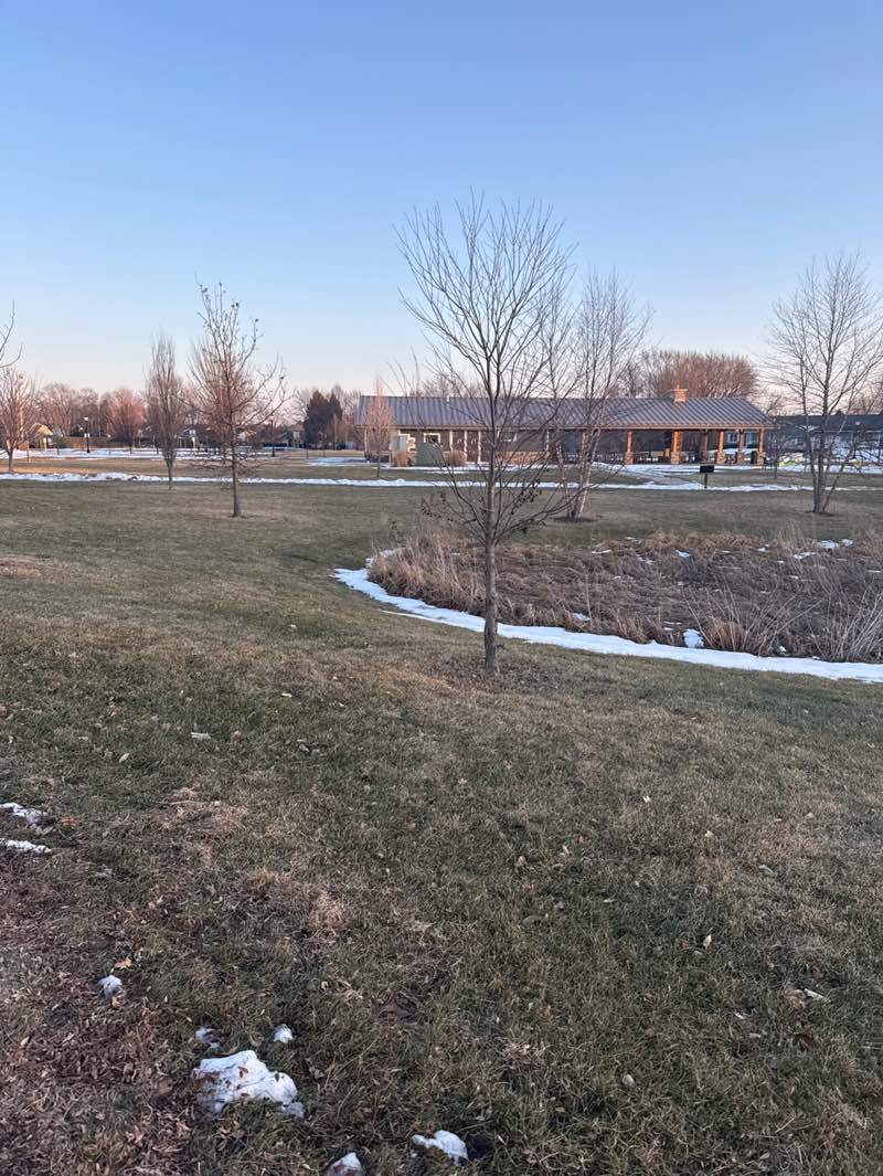 walking near me in Fireman's Park in winter