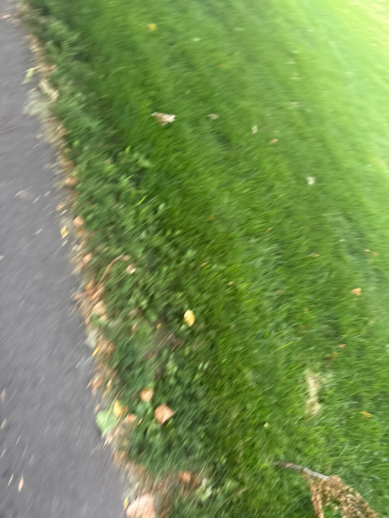 walking near me in Liberty Land Park in summer