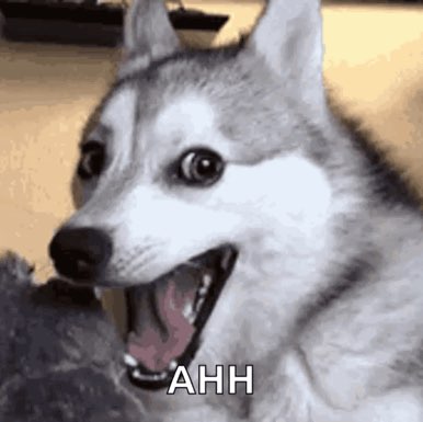 Great Balls Kat post image