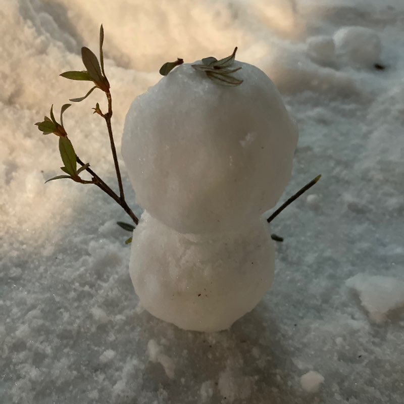 요엘