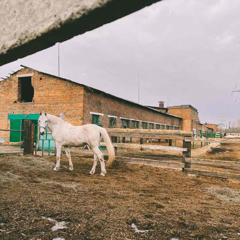 Парван Ахадзаде КрасЖД post 2