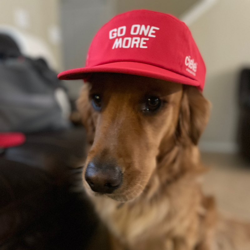 Yair N - AUS profile