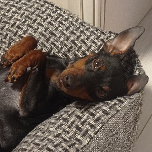 Харитонова Ольга ПКБ ЦТ profile