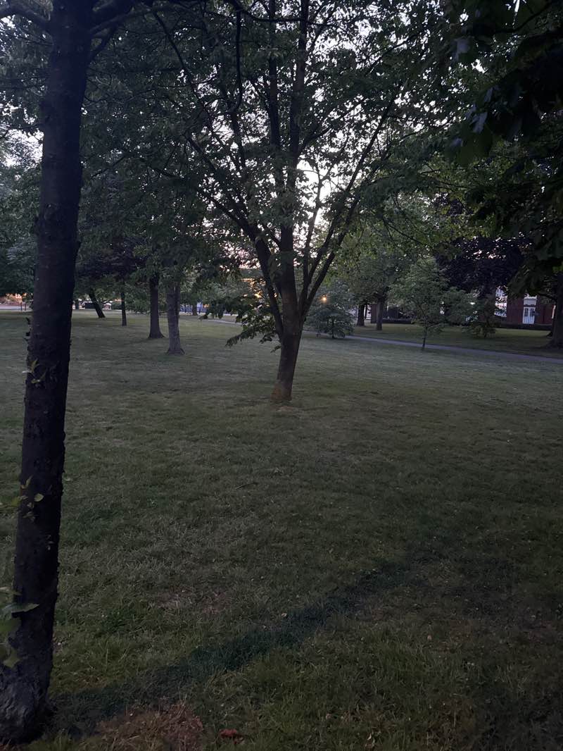 walking near me in Shenfield Common in summer