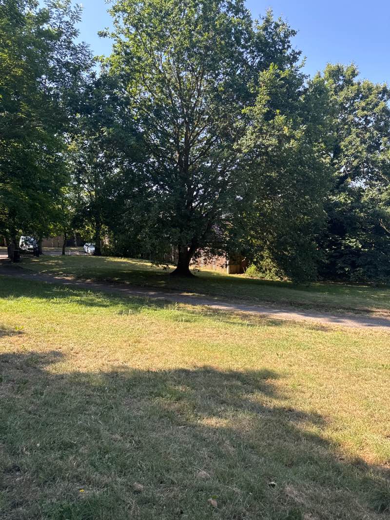 walking near me in Cleves Avenue in summer