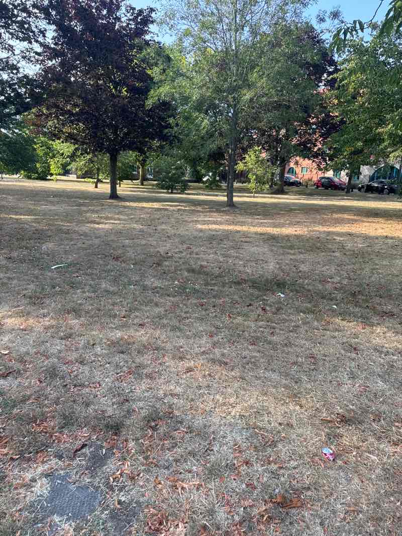 walking near me in Shenfield Common in summer